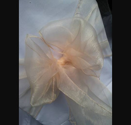 Champagne Sashes on White Chair Covers at Rox Hotel