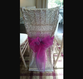 Silver sequinne veil with organza bow