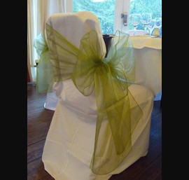 White Chair Covers and Willow green side bows at Horton Grange